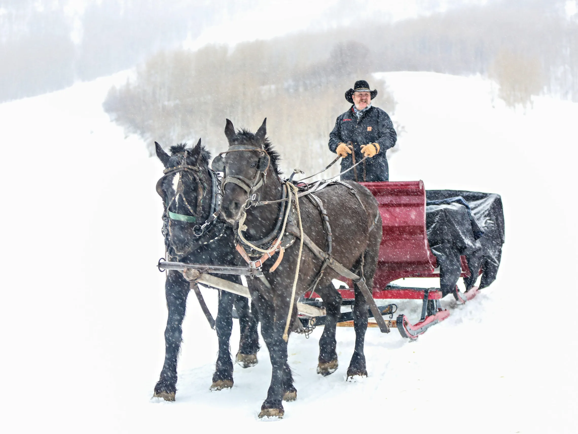 a man riding a horse in the snow