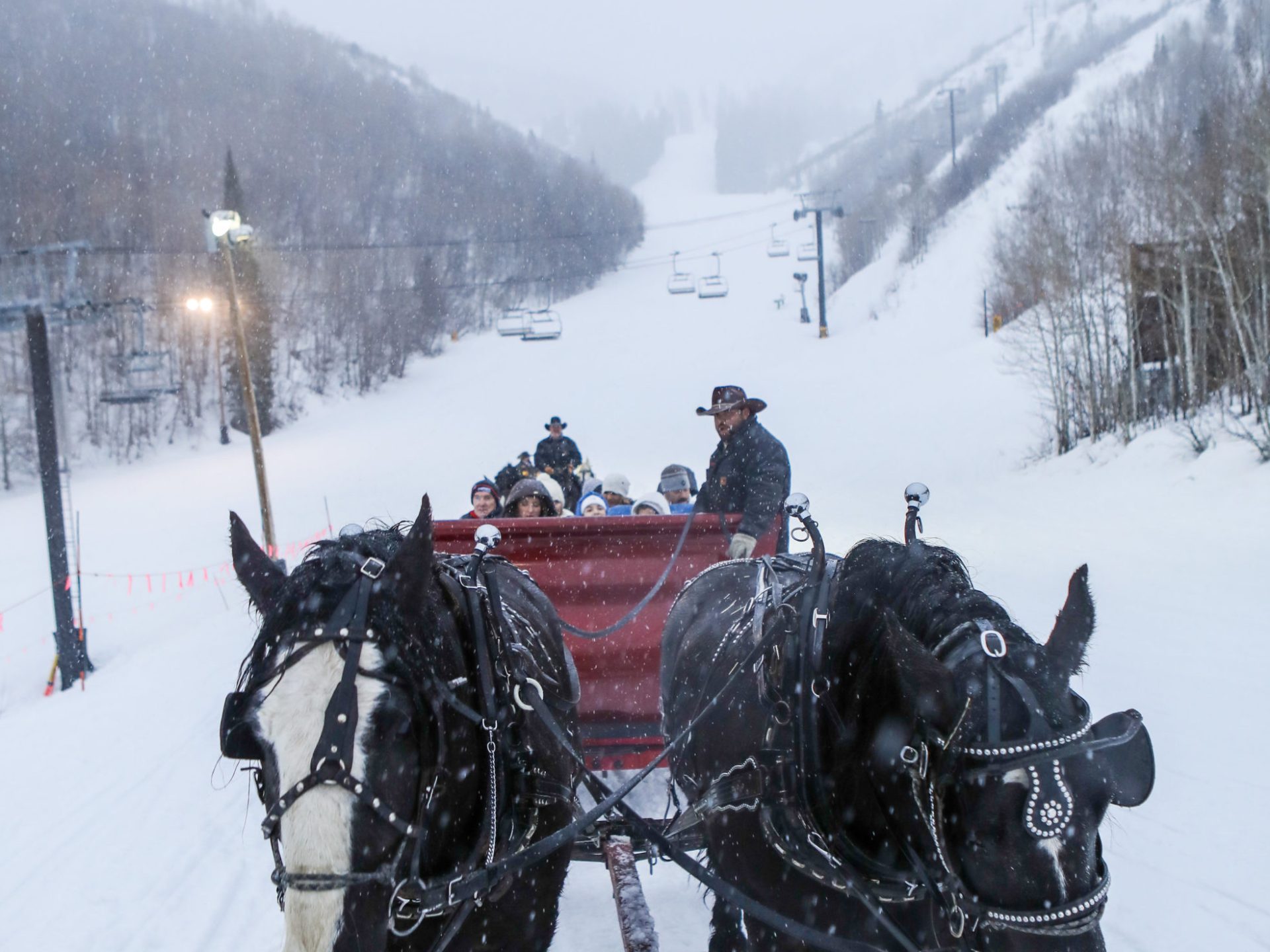 a horse pulling a carriage with people in the snow