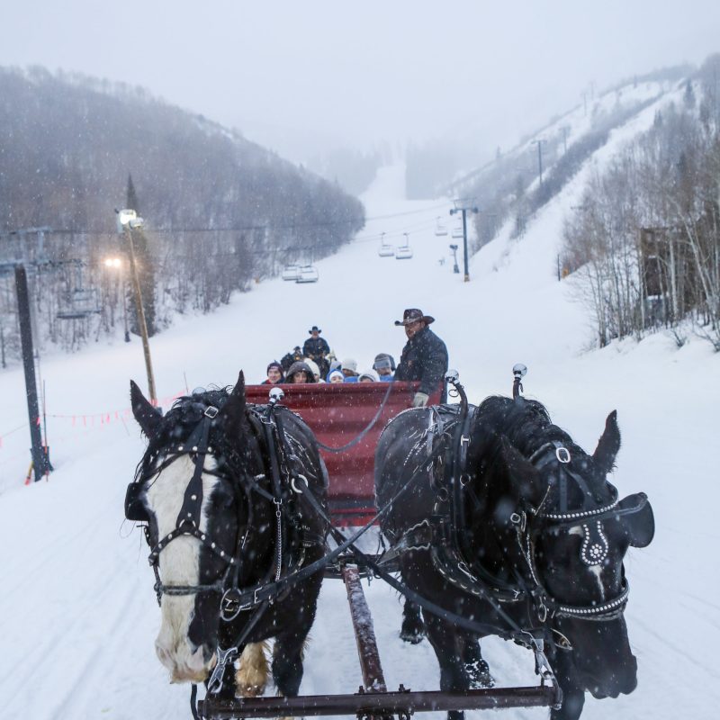 a horse pulling a carriage with people in the snow