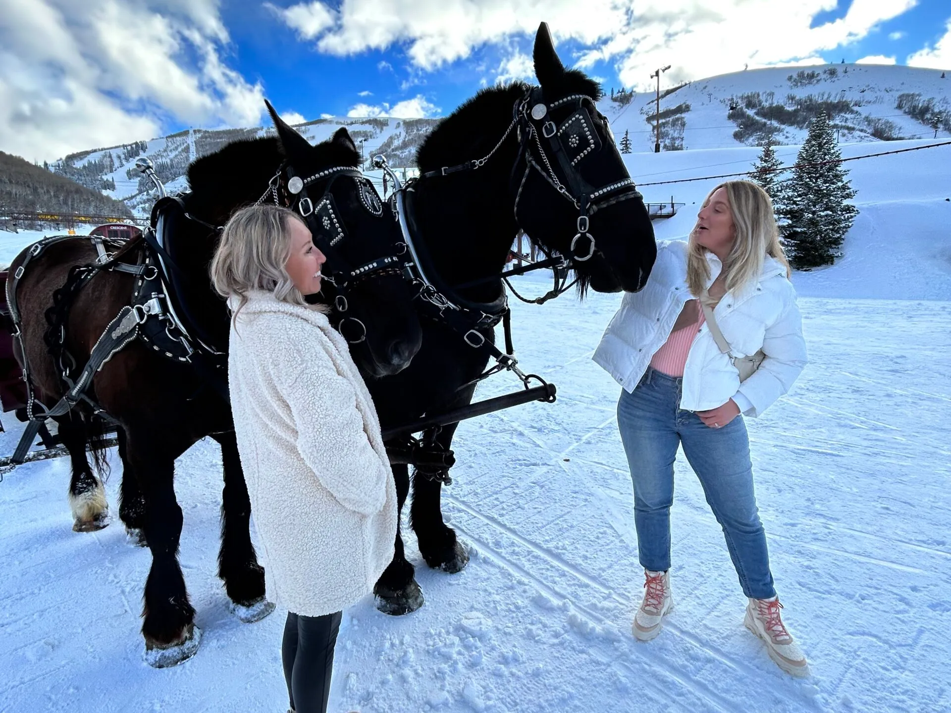 two women petting the horse before riding on the sleigh
