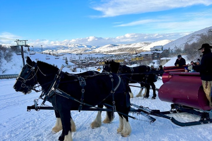 a group of people riding on the back of a horse in the snow