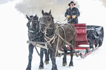 a man riding a horse in the snow