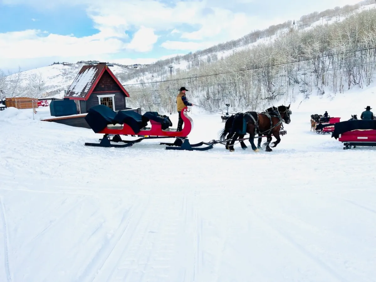 a group of people riding skis down a snow covered slope